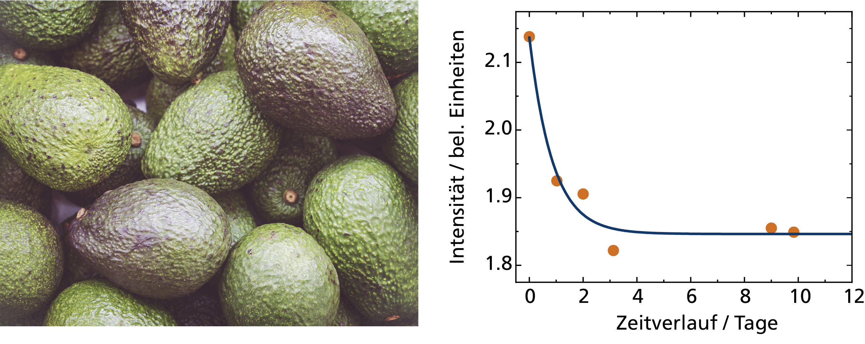 Das Beispiel zeigt die veränderte spektrale Antwort einer Avocado während des Reifeprozesses.