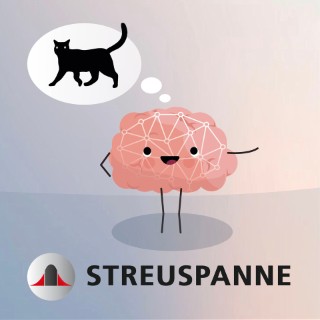 Streuspanne Podcast Miniserie Künstliche Intelligenz (KI) und Statistik – Neuronale Netze: Wie Maschinen das Denken lernen