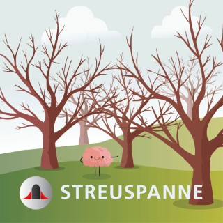 Streuspanne - Episode 24: Artificial intelligence and statistics - Is AI just glorified statistics? AI used to be called ML