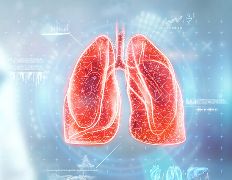 Optimal Treatment Paths for Lung Diseases - Fraunhofer ITWM