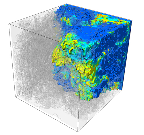 Microstructure Simulation of Non-Newtonian Multiphase Flows